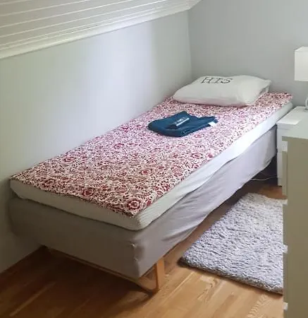 Blue House Brevik 招待所 波什格伦